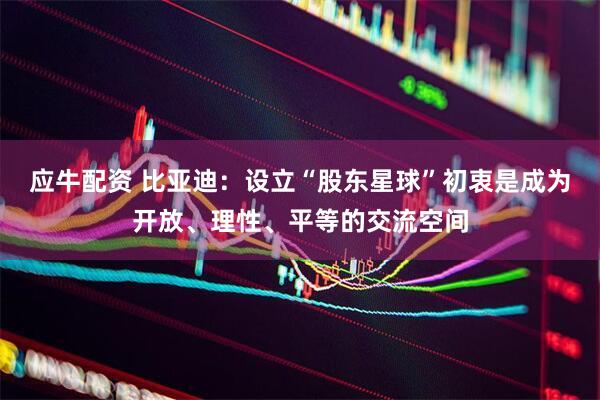 应牛配资 比亚迪：设立“股东星球”初衷是成为开放、理性、平等的交流空间